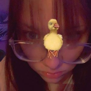 Meet your Posher, Avery